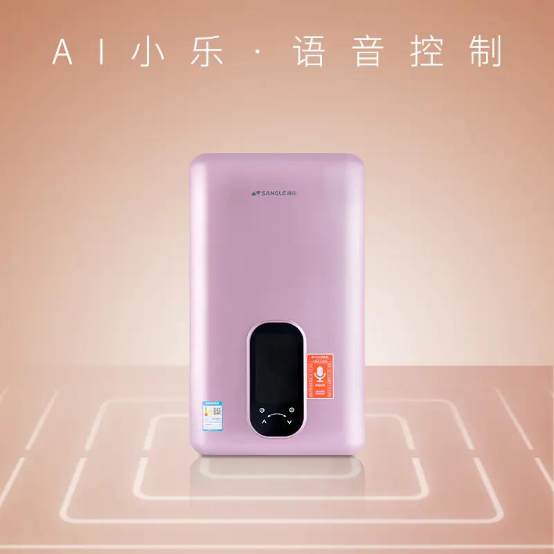 速熱熱水器DSF-2055SY